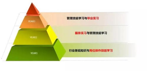 三亞中瑞酒店管理學院 把握全球十大熱門行業脈搏，開啟酒店管理職業新篇章